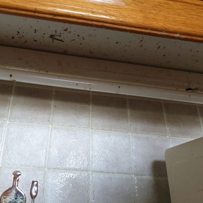 Pre Build Cleaning Tufnell Park NW5